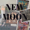 New Moon Tarot Reading